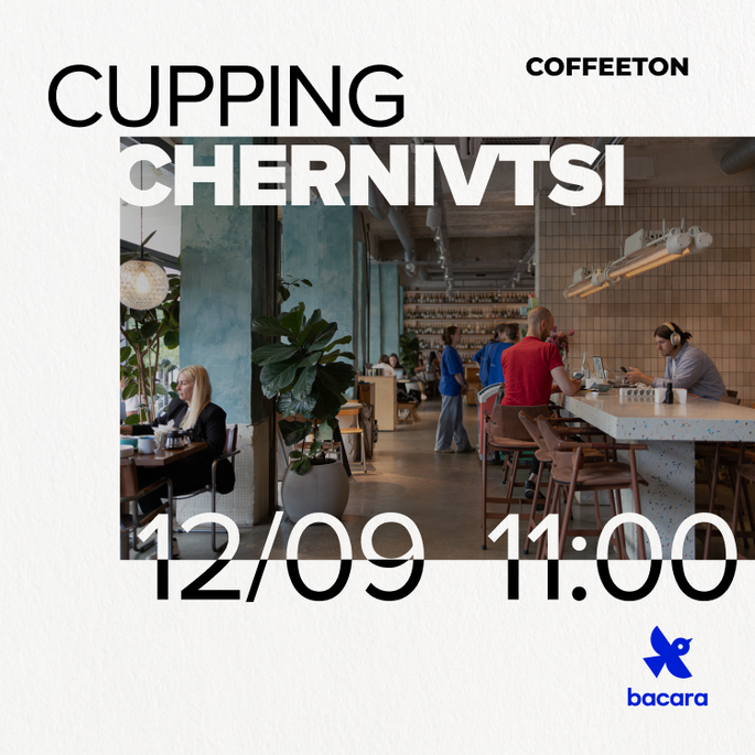 cupping-chernivtsi